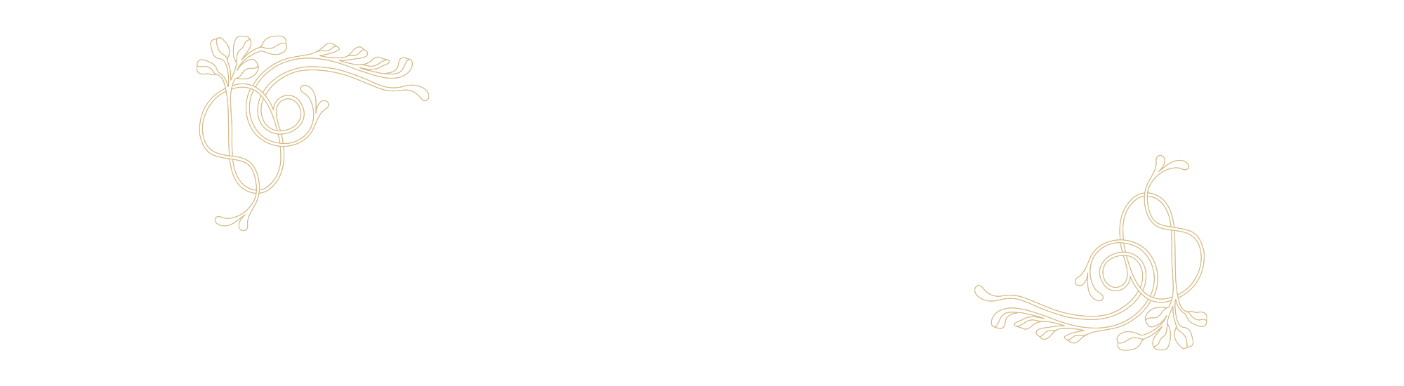 bnr_bg